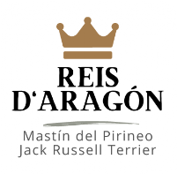 Éleveur Reis D'Aragón. Mâtin des Pyrénées et Jack Russell Terrier