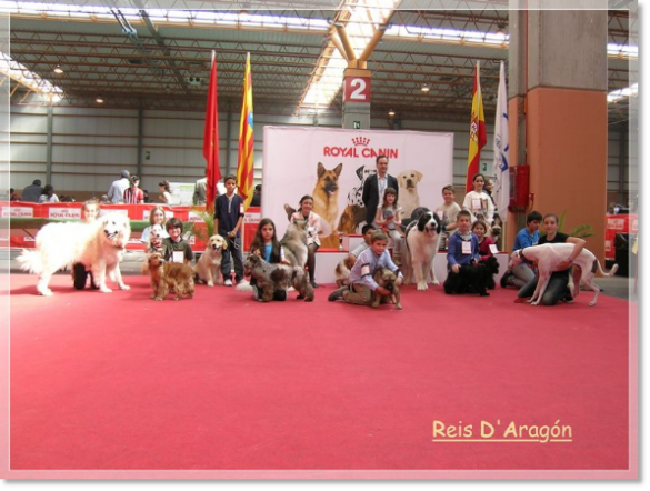 XXXII EXPOSICIÓN INTERNACIONAL CANINA DE ZARAGOZA 2012