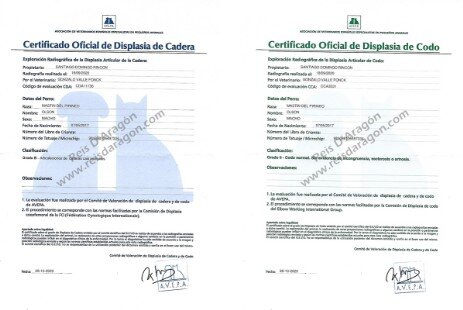 Certificados de salud de Olson de Reis D'Aragón