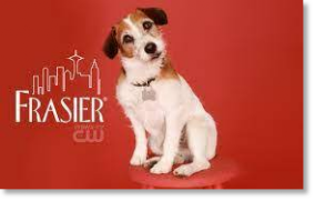Historia y origen de la raza Jack Russell Terrier