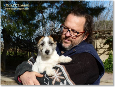 Jack Russell Terrier en Reis D'Aragón